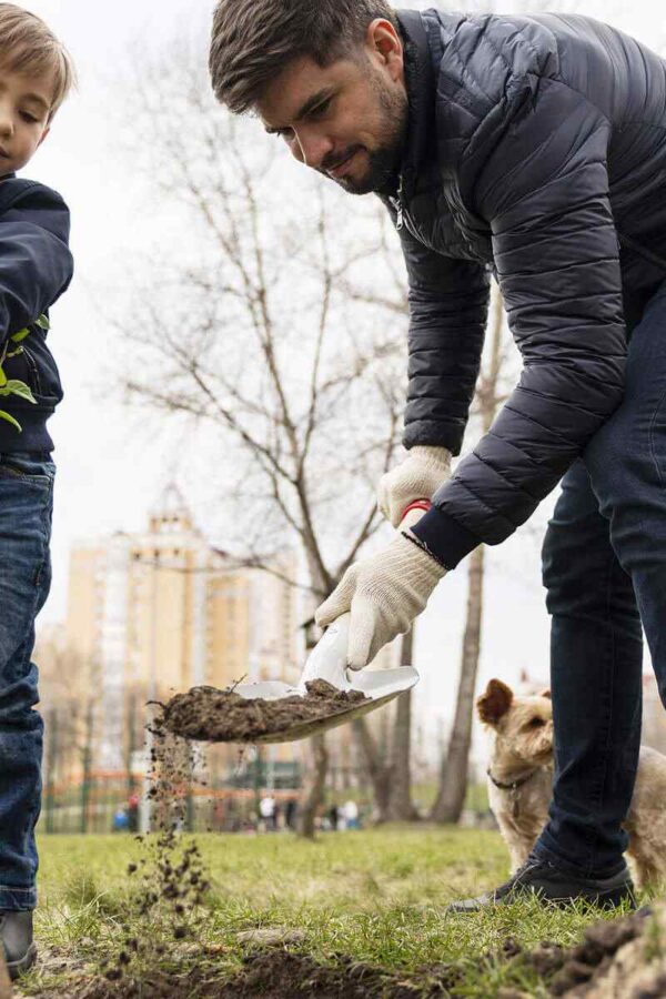 Project: planting 300 trees in the city